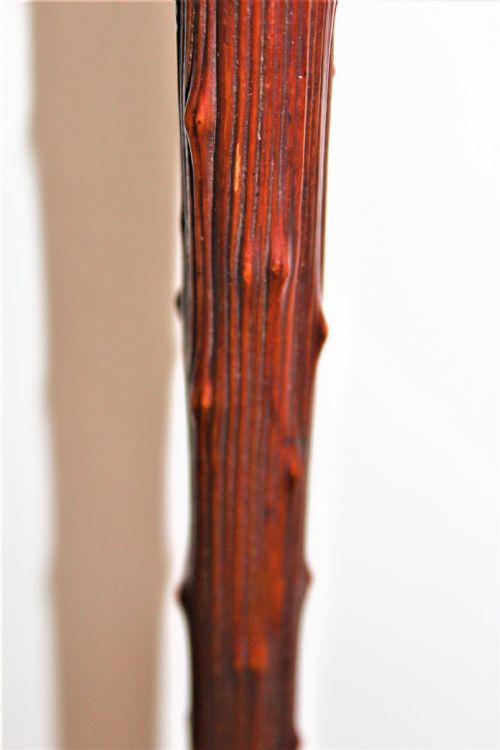 A STURDY WALKING STICK OF NATURAL FORM - ADDITIONAL PHOTO 6