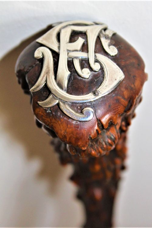 A STURDY WALKING STICK OF NATURAL FORM - ADDITIONAL PHOTO 8
