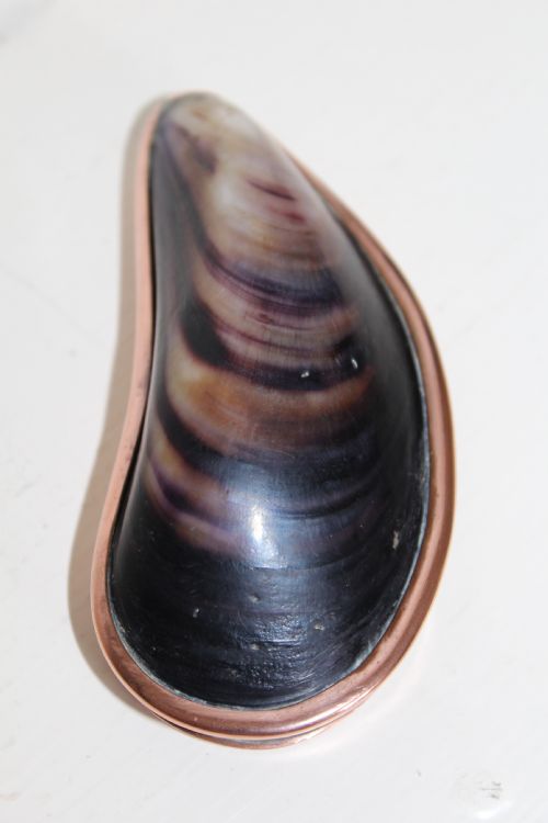 A VERY SMART POCKET SNUFF BOX - ADDITIONAL PHOTO 6