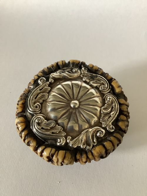 AN UNUSUAL AND INTERESTING 19TH CENTURY SCOTTISH STAGHORN SNUFF BOX - ADDITIONAL PHOTO 2