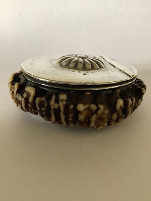 AN UNUSUAL AND INTERESTING 19TH CENTURY SCOTTISH STAGHORN SNUFF BOX - ADDITIONAL PHOTO 3