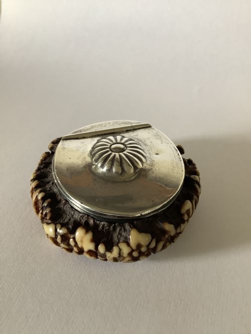 AN UNUSUAL AND INTERESTING 19TH CENTURY SCOTTISH STAGHORN SNUFF BOX - ADDITIONAL PHOTO 5