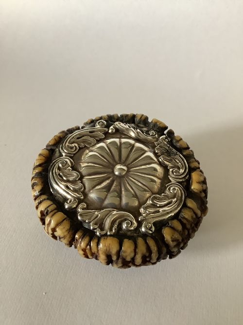 AN UNUSUAL AND INTERESTING 19TH CENTURY SCOTTISH STAGHORN SNUFF BOX - ADDITIONAL PHOTO 6