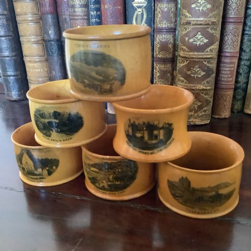 A delightful collection of six turned hardwood mauchline ware napkin rings

