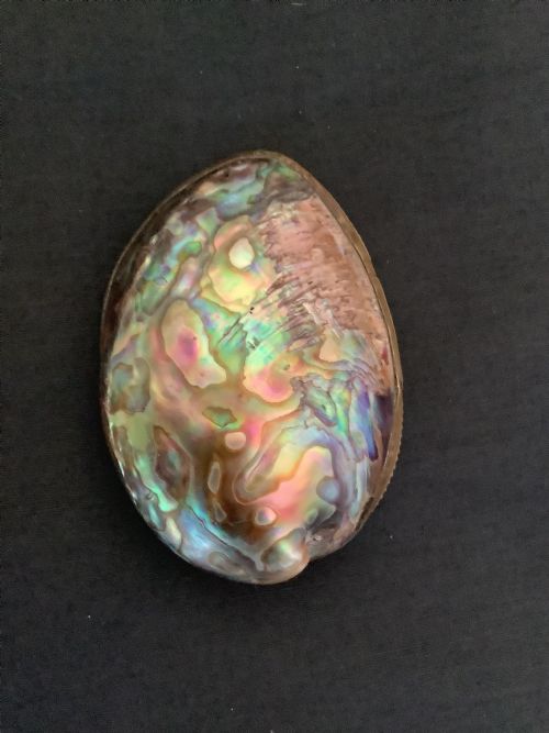 A SUPERB SNUFF BOX MADE FROM ABALONE SHELL - ADDITIONAL PHOTO 7