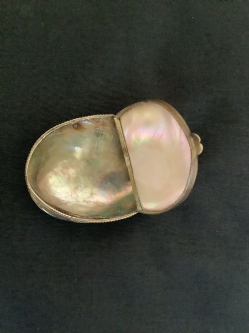 A SUPERB SNUFF BOX MADE FROM ABALONE SHELL - ADDITIONAL PHOTO 1