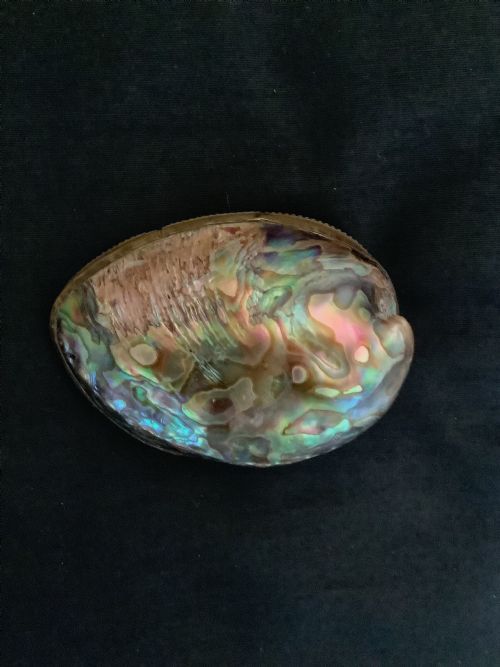 A SUPERB SNUFF BOX MADE FROM ABALONE SHELL - ADDITIONAL PHOTO 6