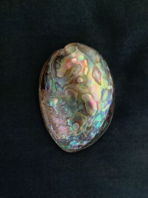A SUPERB SNUFF BOX MADE FROM ABALONE SHELL - ADDITIONAL PHOTO 2