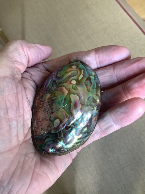 A SUPERB SNUFF BOX MADE FROM ABALONE SHELL