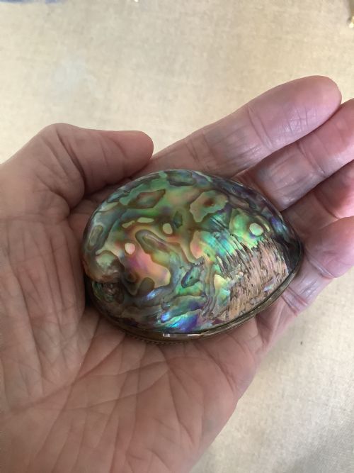 A SUPERB SNUFF BOX MADE FROM ABALONE SHELL - ADDITIONAL PHOTO 3