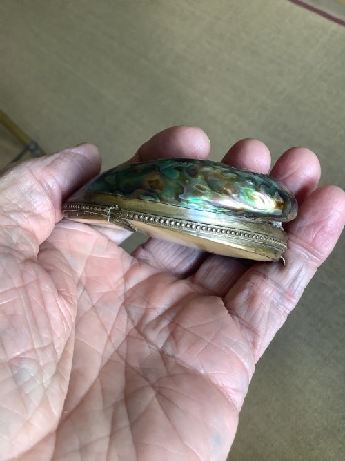 A SUPERB SNUFF BOX MADE FROM ABALONE SHELL - ADDITIONAL PHOTO 4
