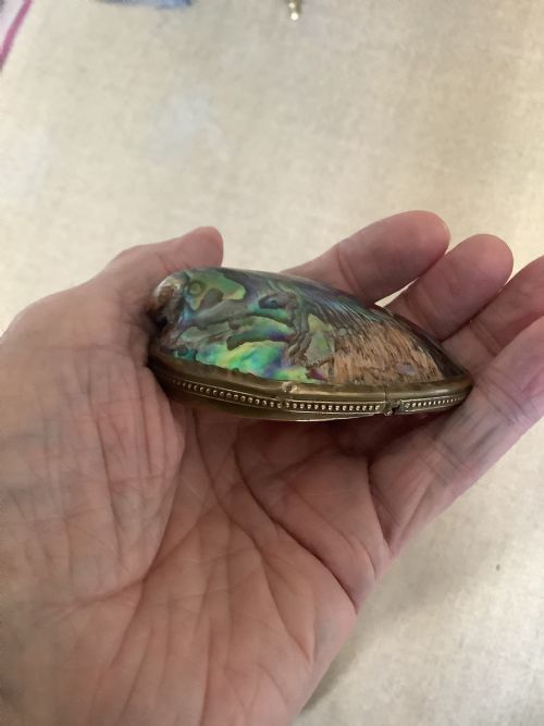 A SUPERB SNUFF BOX MADE FROM ABALONE SHELL - ADDITIONAL PHOTO 5