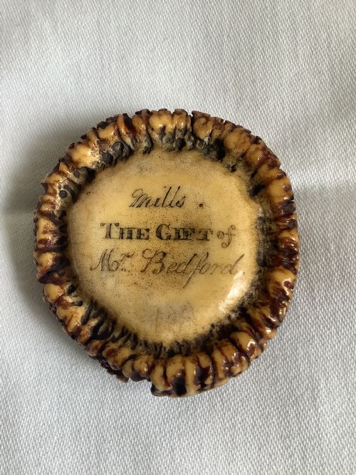 An Unusual and Very Charming Stag Horn Snuff Box