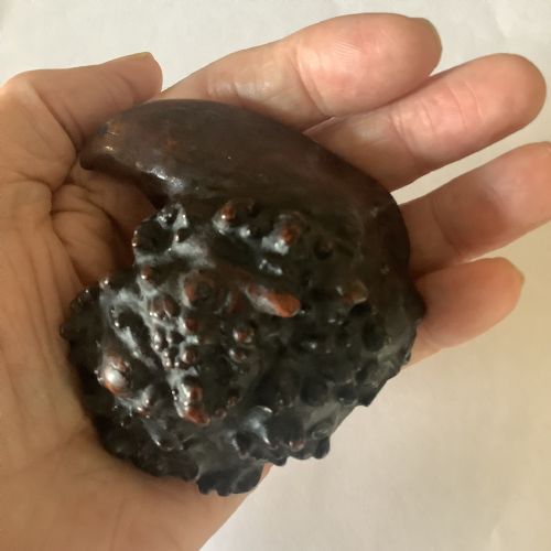 A RARE AND SUPERB CARVED BURR WALNUT SNUFF BOX FORMED FROM A NATURAL PIECE OF WOOD - ADDITIONAL PHOTO 7