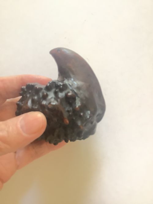 A RARE AND SUPERB CARVED BURR WALNUT SNUFF BOX FORMED FROM A NATURAL PIECE OF WOOD - ADDITIONAL PHOTO 3