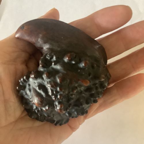 A RARE AND SUPERB CARVED BURR WALNUT SNUFF BOX FORMED FROM A NATURAL PIECE OF WOOD - ADDITIONAL PHOTO 5