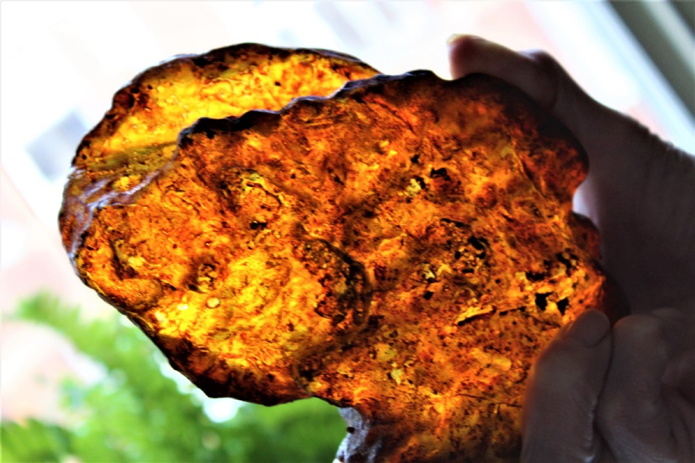 A wonderful large example of an Amber boulder in its natural form The light filters through as if illuminated from the inside  View III