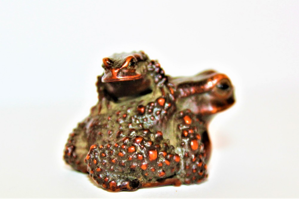 A finely carved small boxwood netsuke /okimono of two Toads signed Masanao View IV
