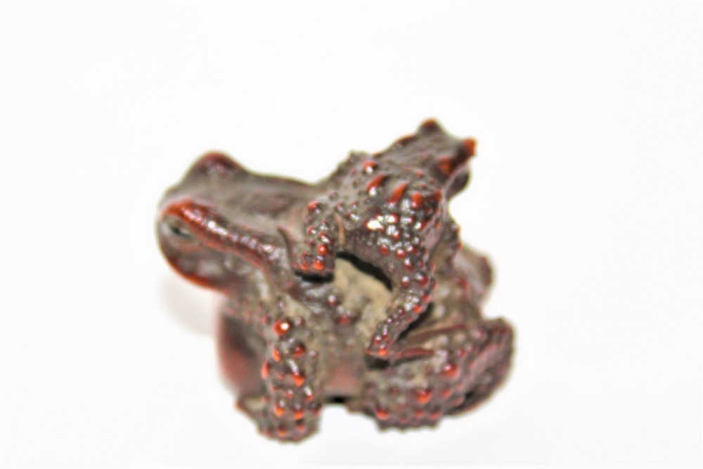 A finely carved small boxwood netsuke /okimono of two Toads signed Masanao View VI