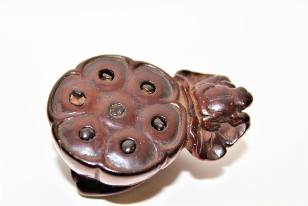 Finely carved boxwood netsuke of a Lotus Seed Pod with toad  View VII