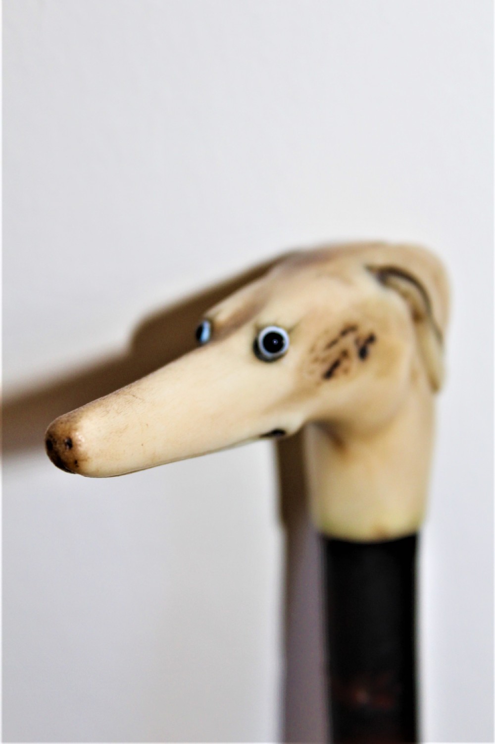 A rustic walking stick with a carved staghorn handle