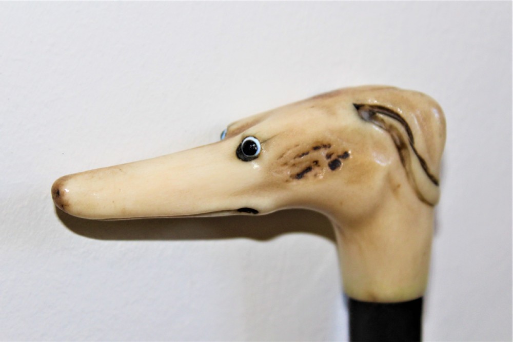 A rustic walking stick with a carved staghorn handle View II