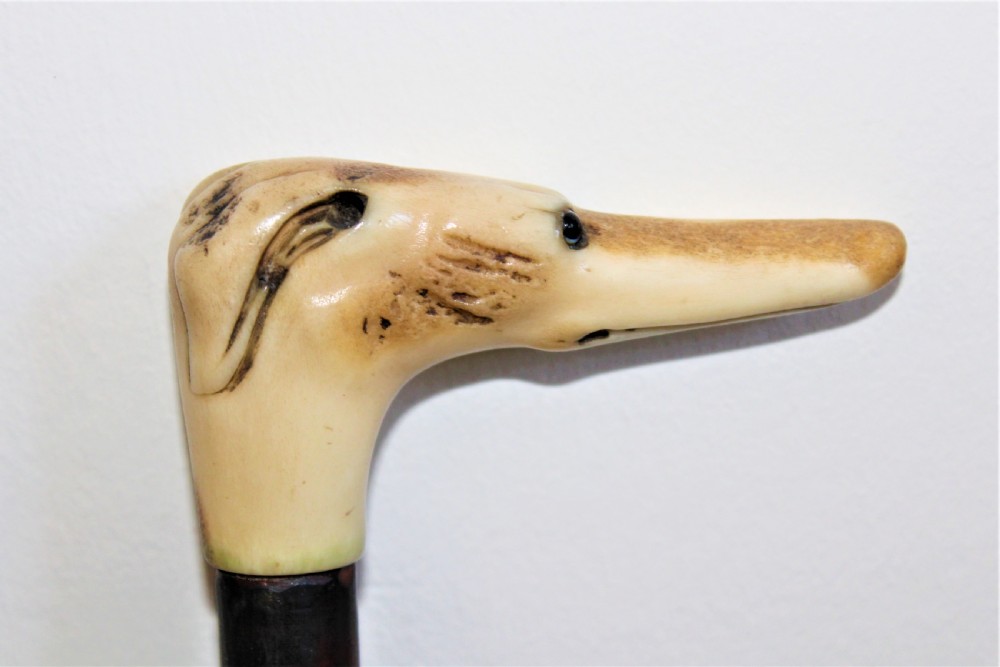 A rustic walking stick with a carved staghorn handle View III