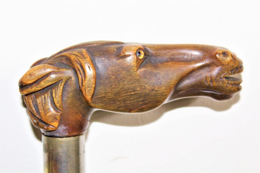 A finely carved horn Victorian walking stick of a horses head  View II