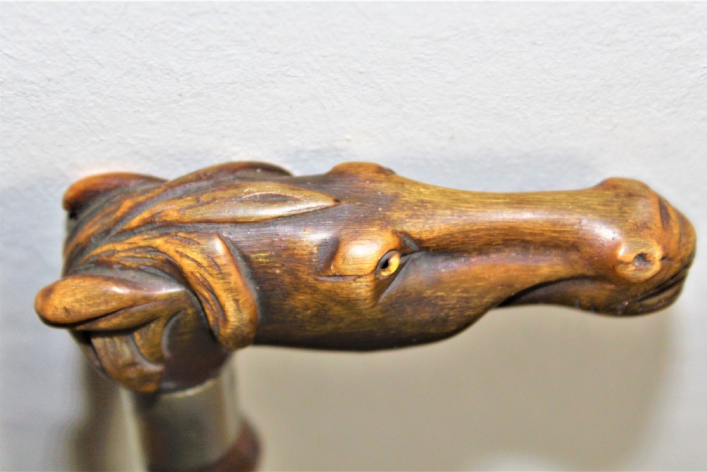 A finely carved horn Victorian walking stick of a horses head  View VI
