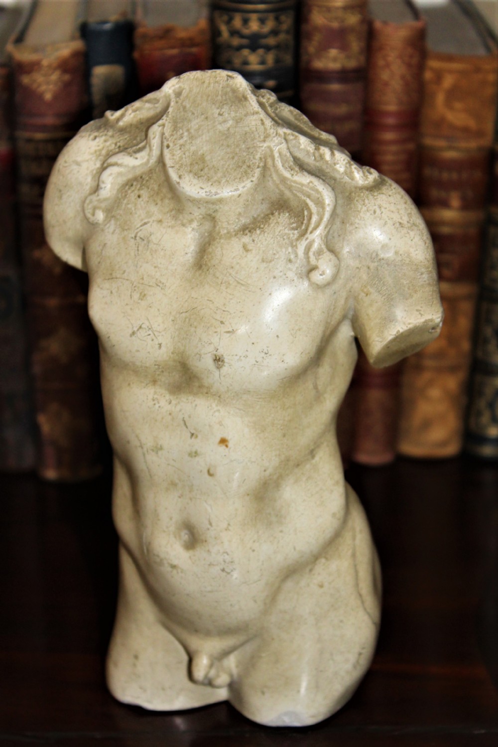A small well defined classical plaster torso 