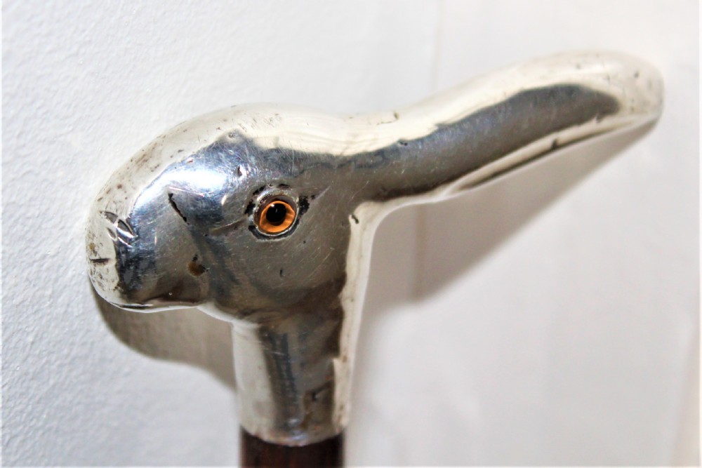 A close-up view of a silver walking stick handle shaped like a hares head with a amber-coloured glass eye and silver hallmarks. View II