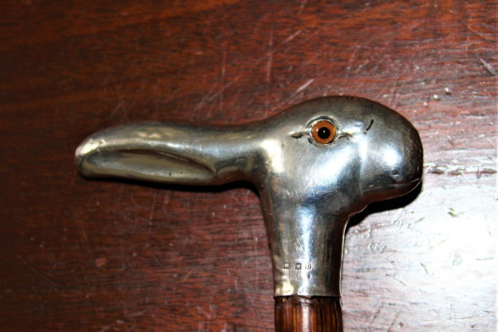 A close-up view of a silver walking stick handle shaped like a hares head with a amber-coloured glass eye and silver hallmarks.