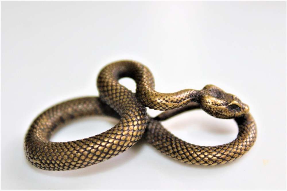 A small well defined bronze pendant in the form of a coiled snake 5cm long by 3 cm wide View II