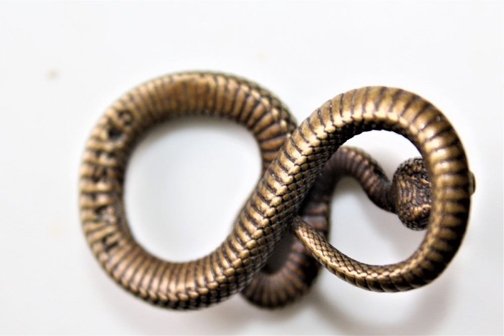A small well defined bronze pendant in the form of a coiled snake 5cm long by 3 cm wide View V