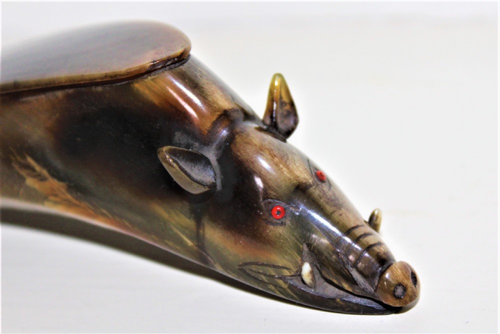 A Victorian novelty buffalo horn snuff box in the form of a wild boar  View IV