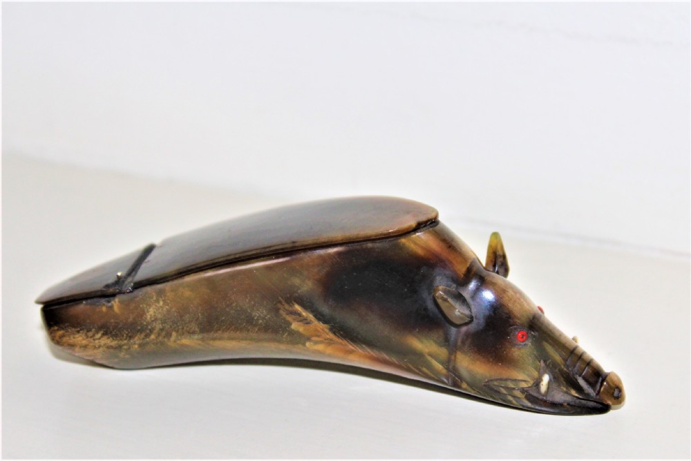 A Victorian novelty buffalo horn snuff box in the form of a wild boar  View II
