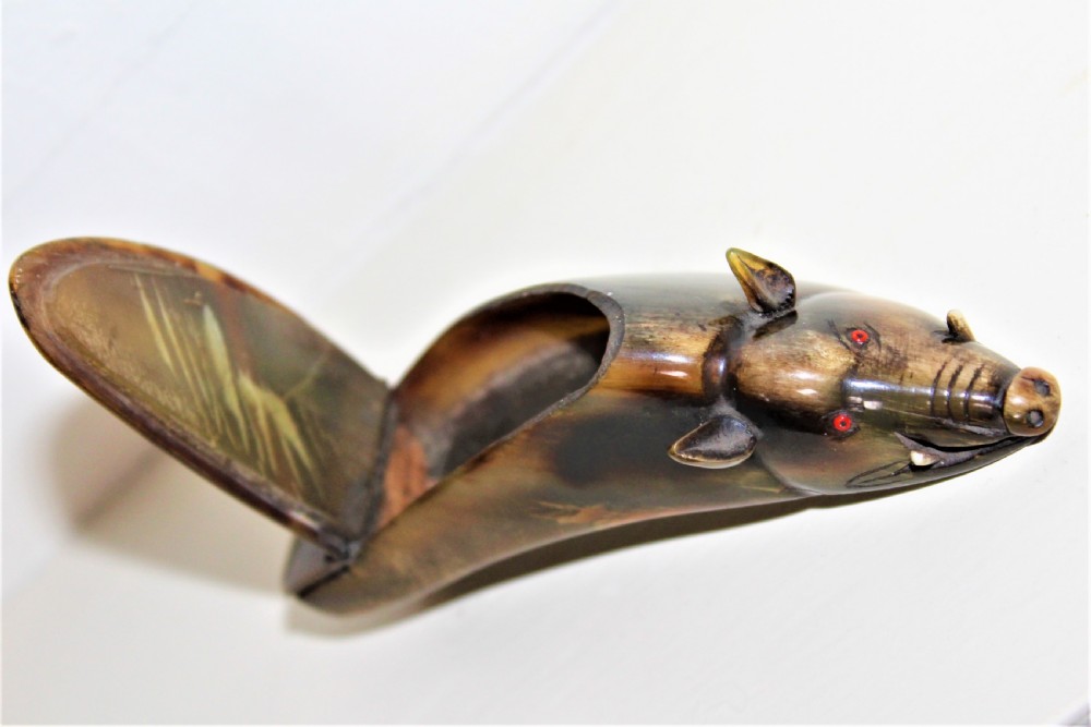 A Victorian novelty buffalo horn snuff box in the form of a wild boar  View III
