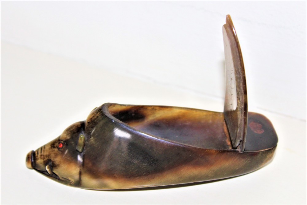 A Victorian novelty buffalo horn snuff box in the form of a wild boar  View V