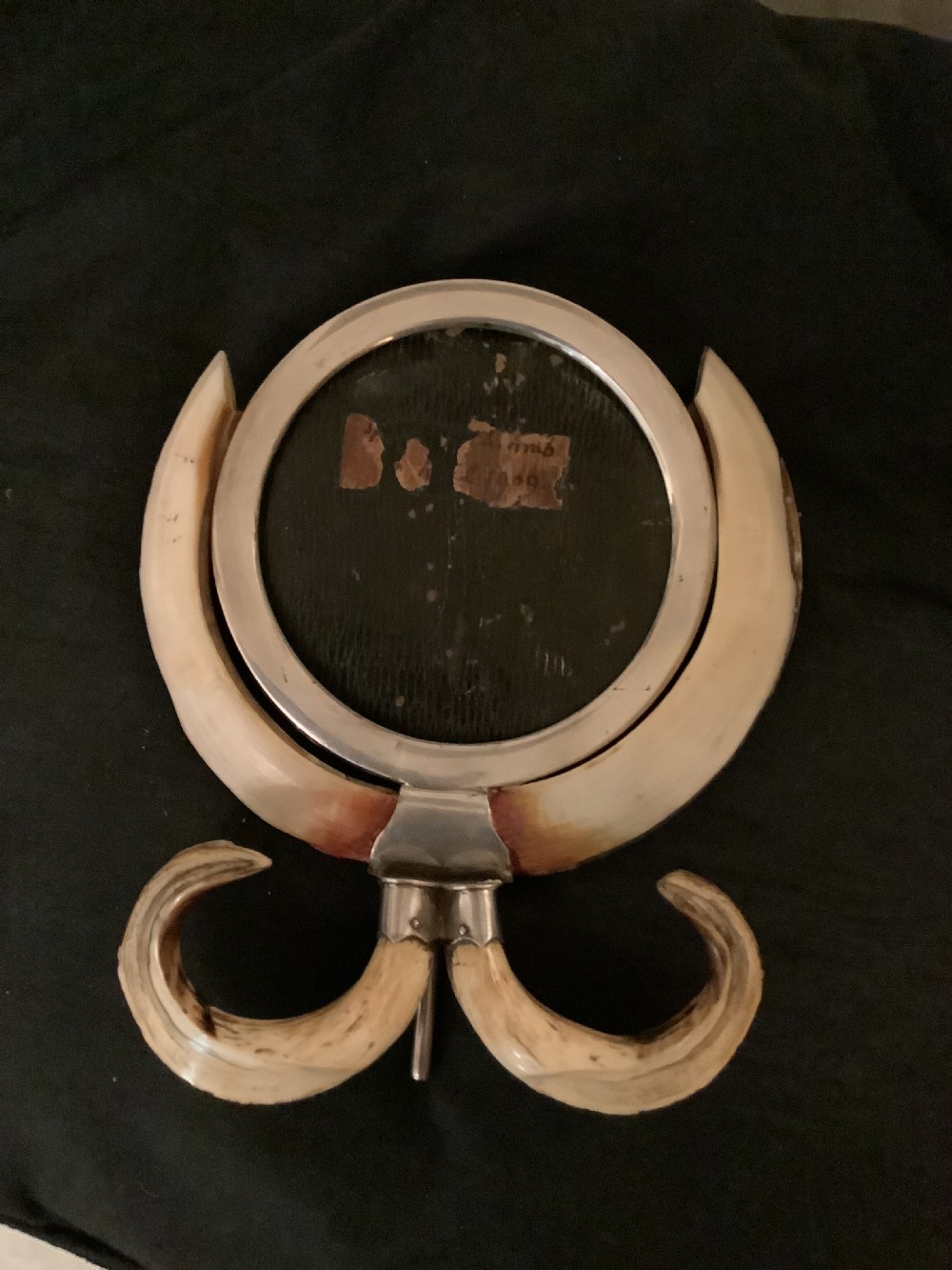 A  very attractive and decorative picture frame surrouded by boars tusks
