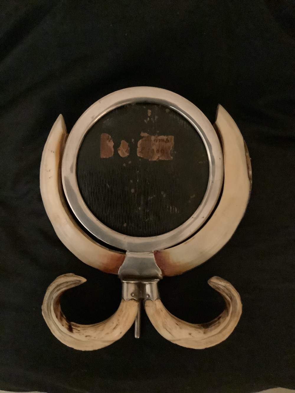 A  very attractive and decorative picture frame surrouded by boars tusks View II