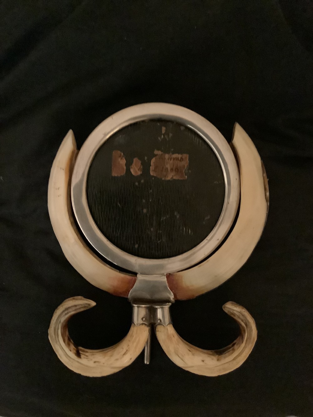 A  very attractive and decorative picture frame surrouded by boars tusks View VII