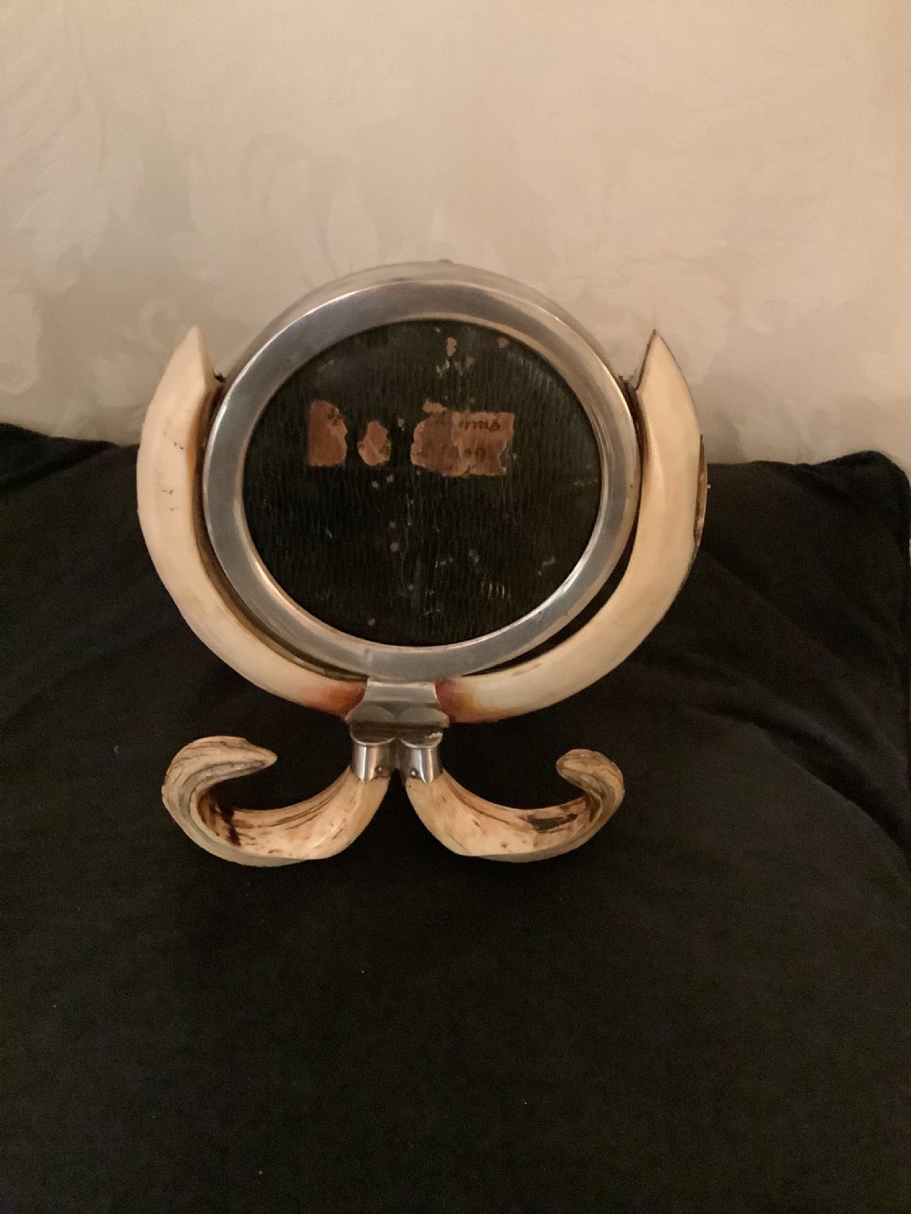 A  very attractive and decorative picture frame surrouded by boars tusks View VIII