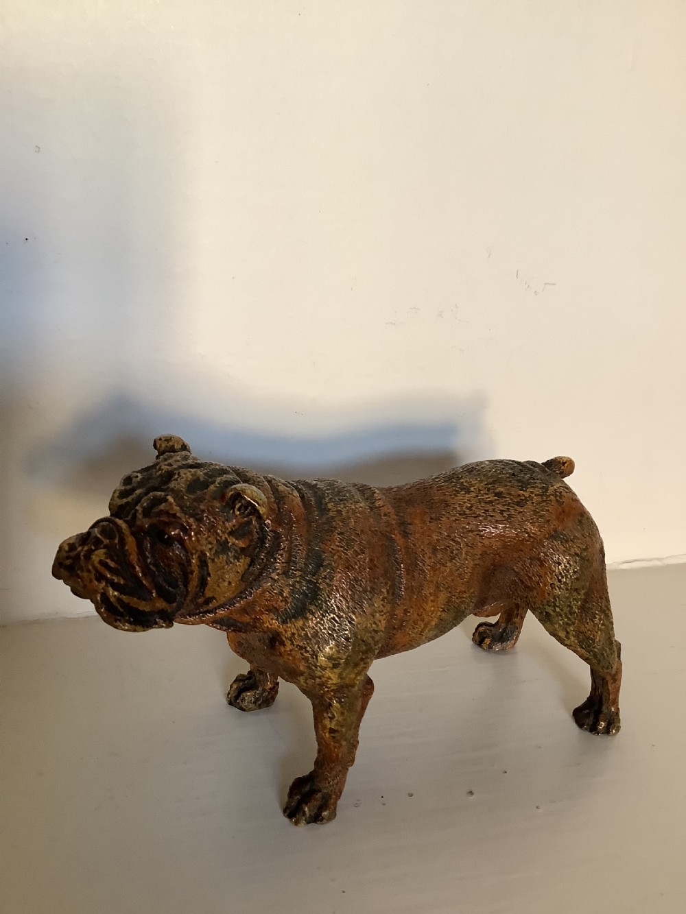 A very fine quality cold painted Vienna bronze of a bulldog with a Bergman plaque 
