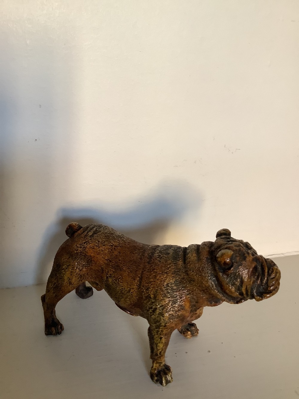 A very fine quality cold painted Vienna bronze of a bulldog with a Bergman plaque  View II