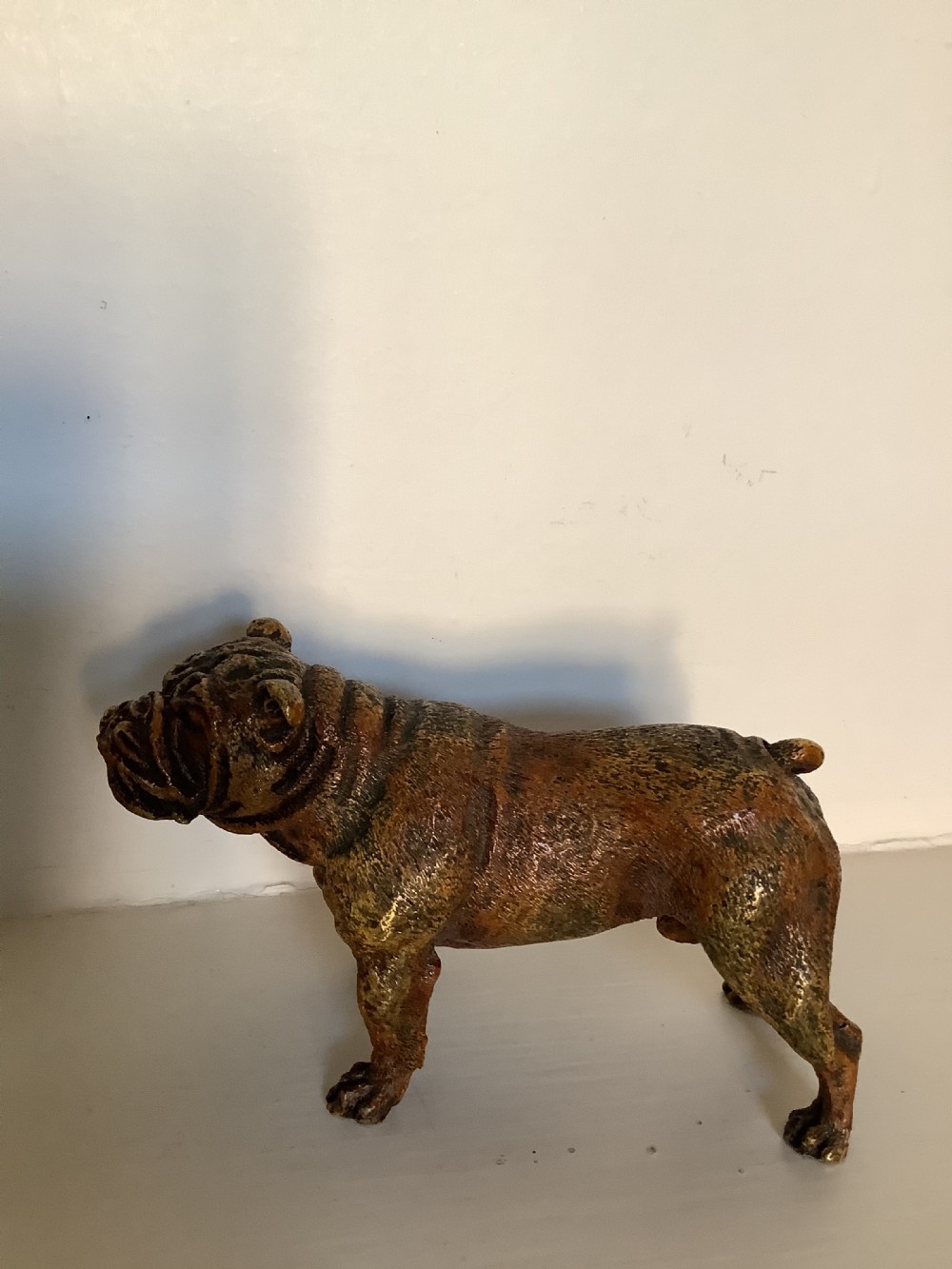 A very fine quality cold painted Vienna bronze of a bulldog with a Bergman plaque  View IV