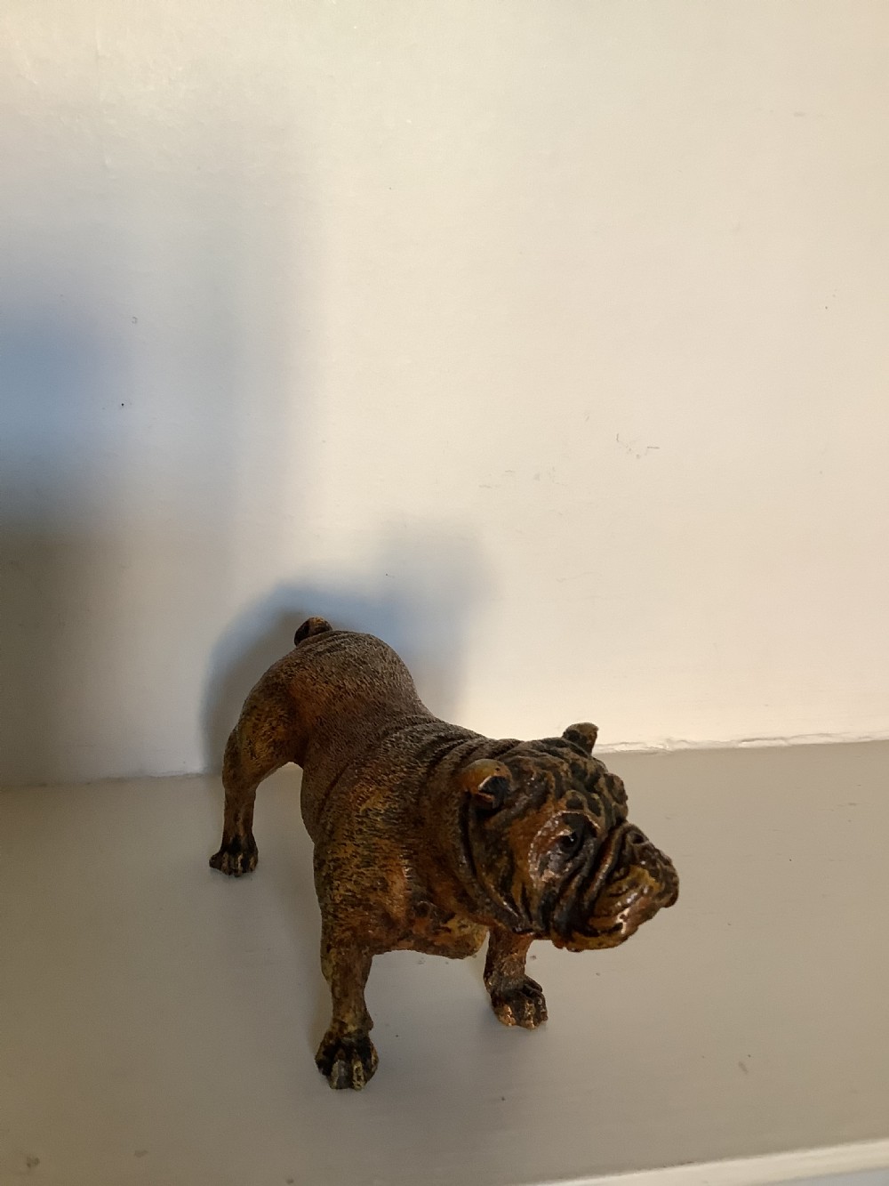 A very fine quality cold painted Vienna bronze of a bulldog with a Bergman plaque  View V