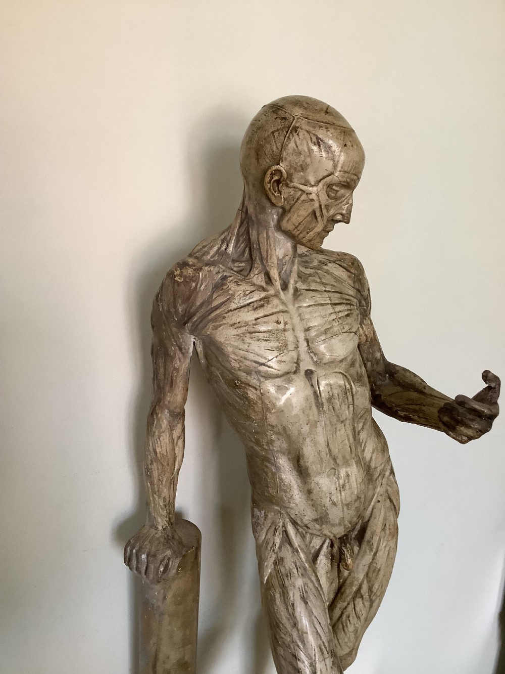 A very fine plaster cast of an Anatomical model entitled Ecorche A La Colonne cast by D Brucciani and Co London View VI