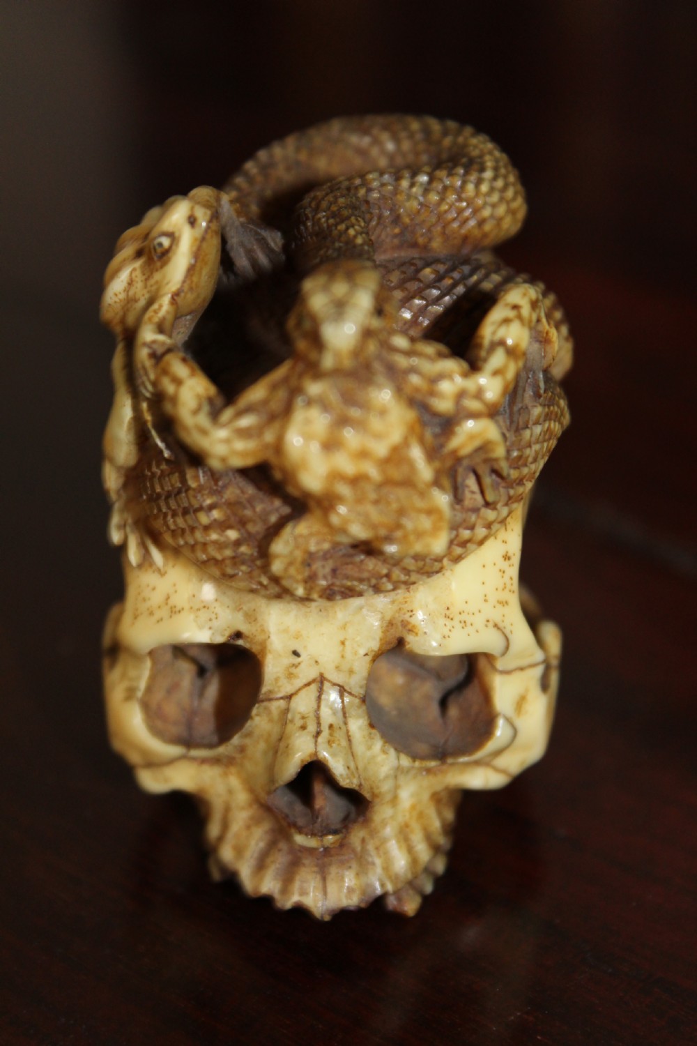 An extremely well carved stag horn memento mori skull View II