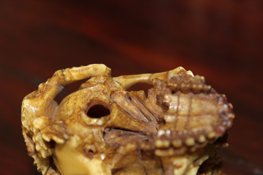 An extremely well carved stag horn memento mori skull View V