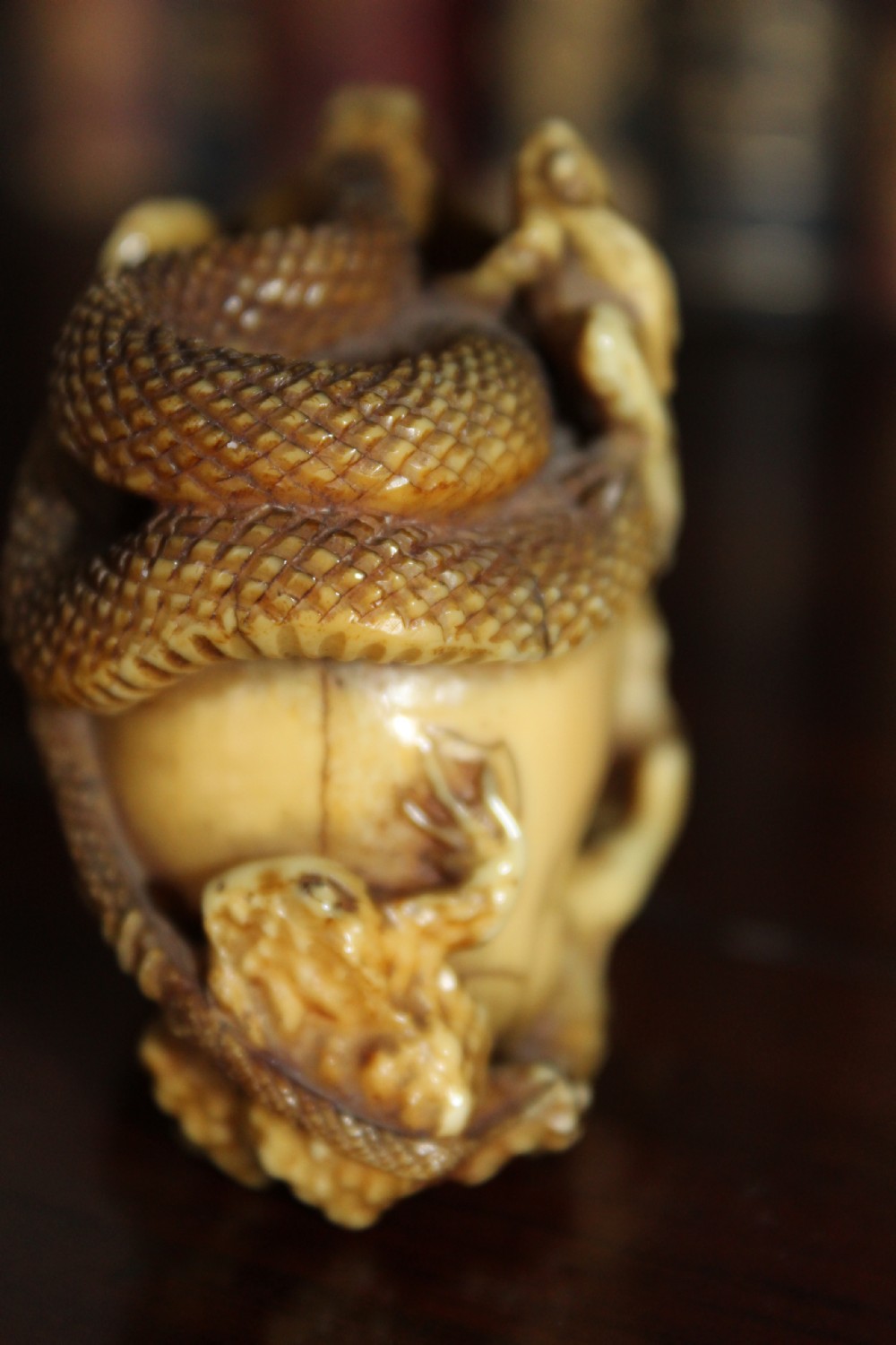 An extremely well carved stag horn memento mori skull View VII